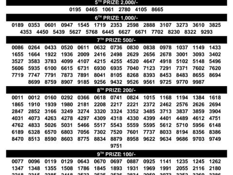 SK-63 Lottery Result 31 July 2026 Kerala State Announced